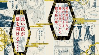 【エロ同人】平安御伽草子〜呪われた姫君と銀狐の皇子〜のアイキャッチ画像