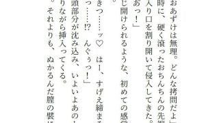 【新着同人誌】魔装銃姫ティンクル・ステラ  可愛いモフモフ相棒のもう一つの姿……のアイキャッチ画像